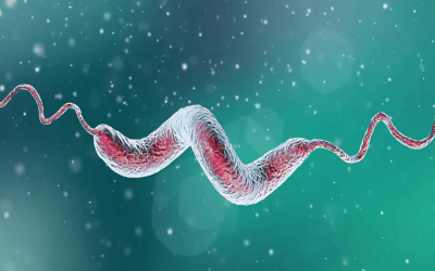 Fitoncydy w bioasekuracji