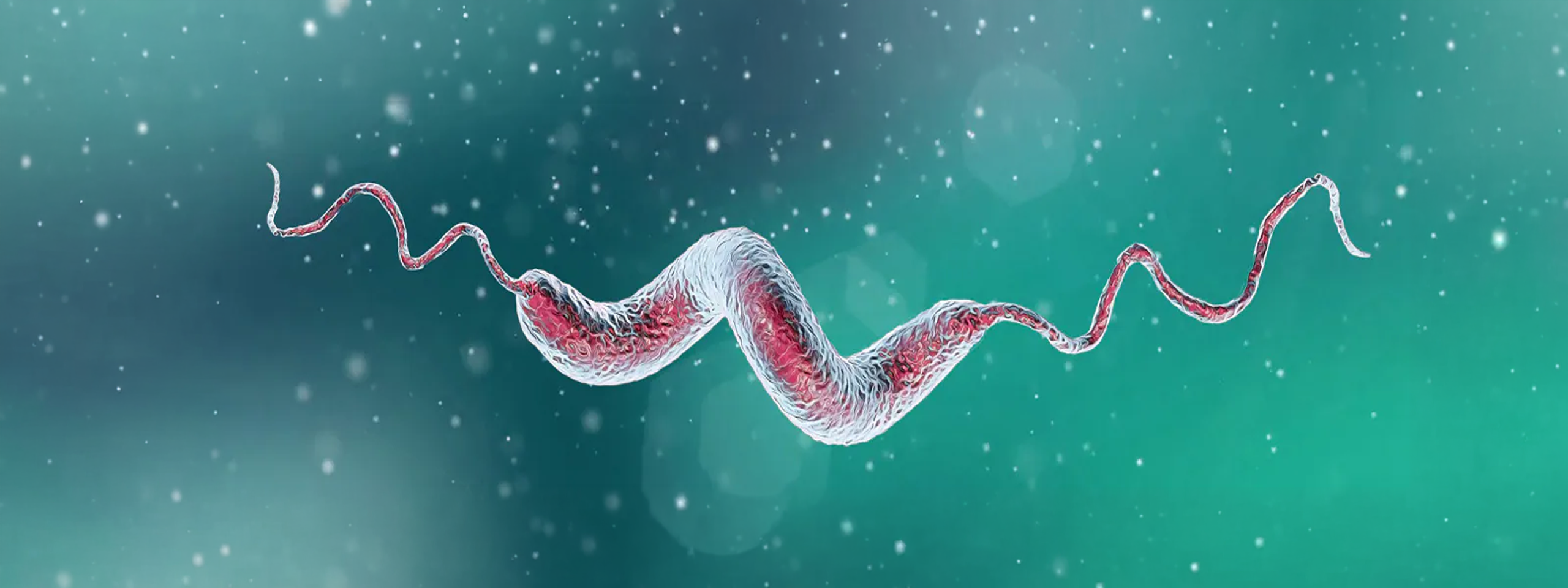 Phytoncides in Biosecurity